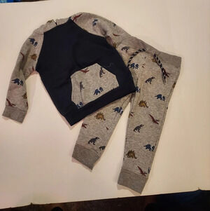 Free Plant Baby Boy 2 Piece Dinosaur Theme Hoodie and Jogger Set in Size 24M